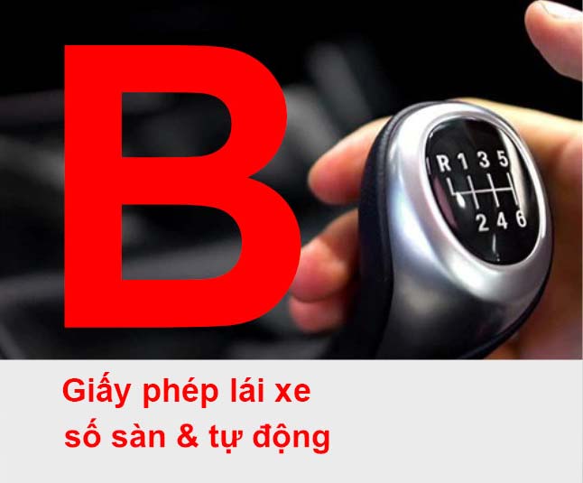 Lái xe ô tô hạng B
